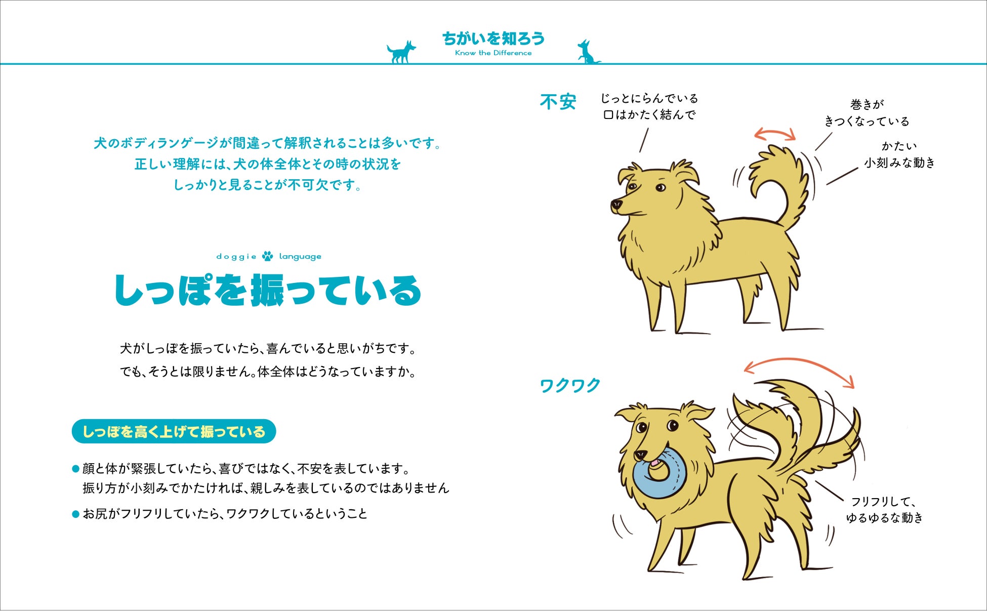犬のボディランゲージを学んで愛犬ともっと仲良くなろう！『犬語図鑑』が本日12月12日発売のサブ画像5