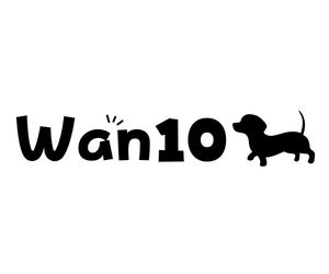 小型犬専門のオンラインセレクトショップ「Wan10（ワント）」12月13日オープンのサブ画像1