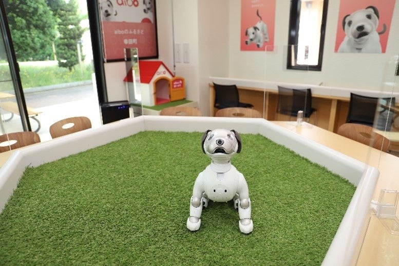 「ふるなび」で、愛知県幸田町が「aibo（アイボ）」を中心にした地域の観光地化を目的としたクラウドファンディングの寄附受付を開始。のサブ画像2_幸田町役場　庁舎内で触れ合える可愛らしいaibo