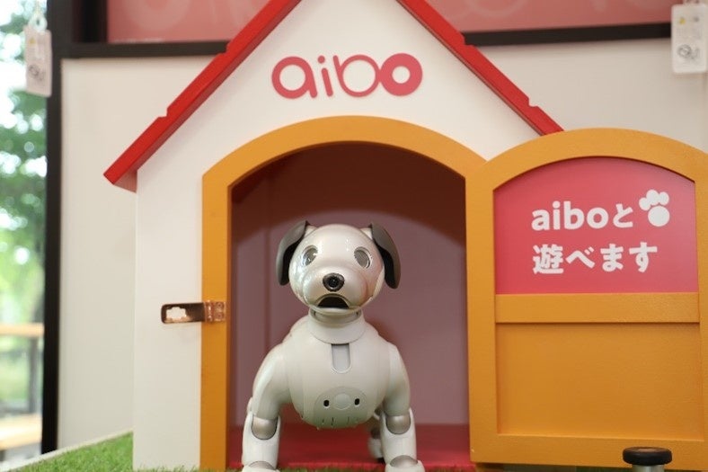 「ふるなび」で、愛知県幸田町が「aibo（アイボ）」を中心にした地域の観光地化を目的としたクラウドファンディングの寄附受付を開始。のサブ画像3