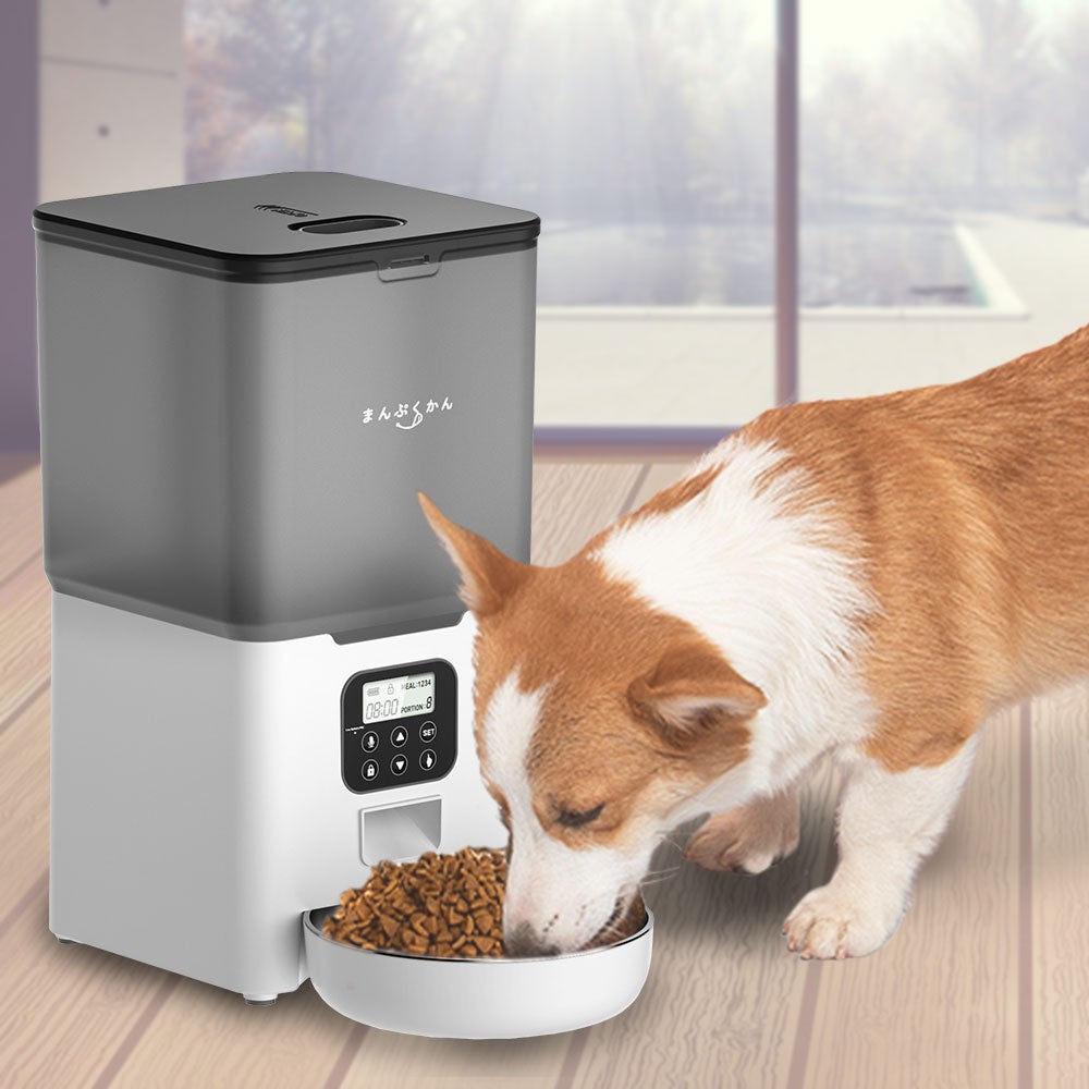 ペットの健康管理に！タイマー機能付き自動給餌機G-PET04がMAXWINから登場！のサブ画像1