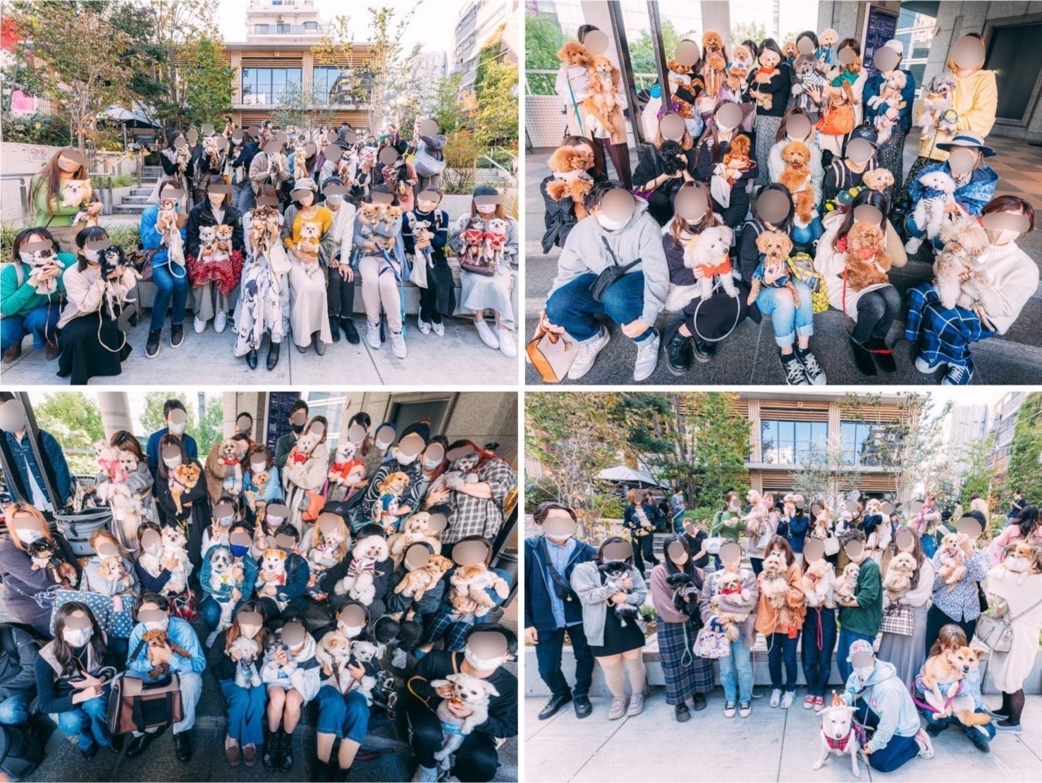 【イベントレポート】8000人の愛犬家が集結！株式会社FLAFFYがイヌもヒトも一緒に楽しめるイベント『FLAFFY Marche vol.2』を開催のサブ画像3