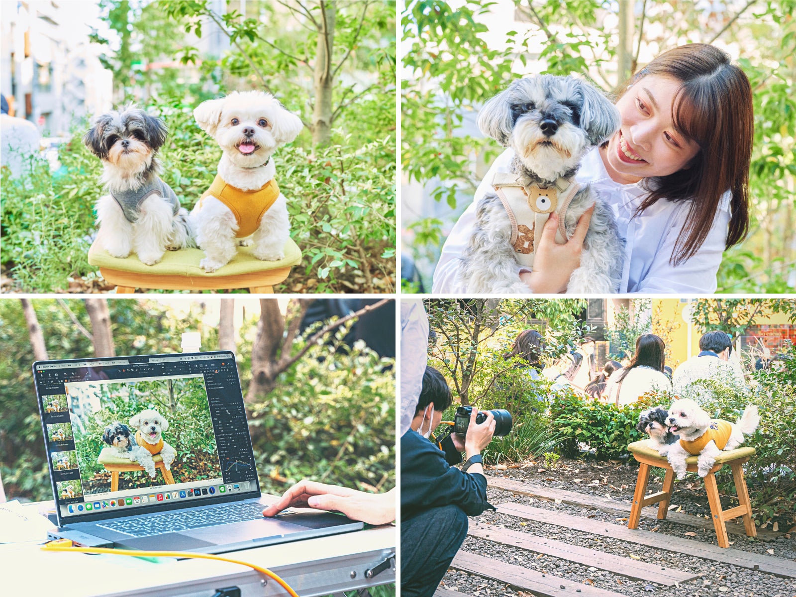 【イベントレポート】8000人の愛犬家が集結！株式会社FLAFFYがイヌもヒトも一緒に楽しめるイベント『FLAFFY Marche vol.2』を開催のサブ画像4