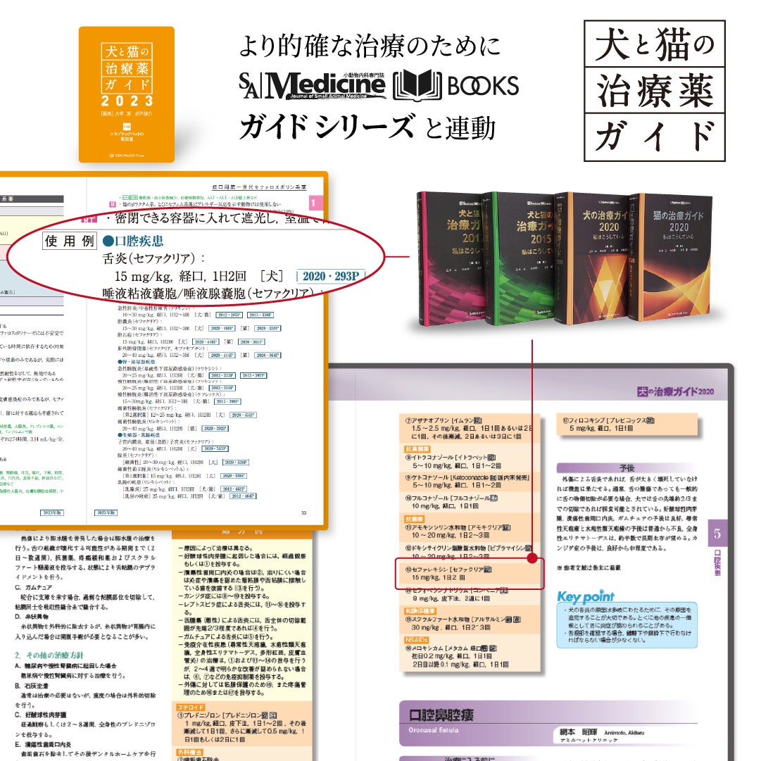 小動物の臨床現場における薬剤情報と解説書の決定版「犬と猫の治療薬ガイド2023」が11月30日発刊のサブ画像3