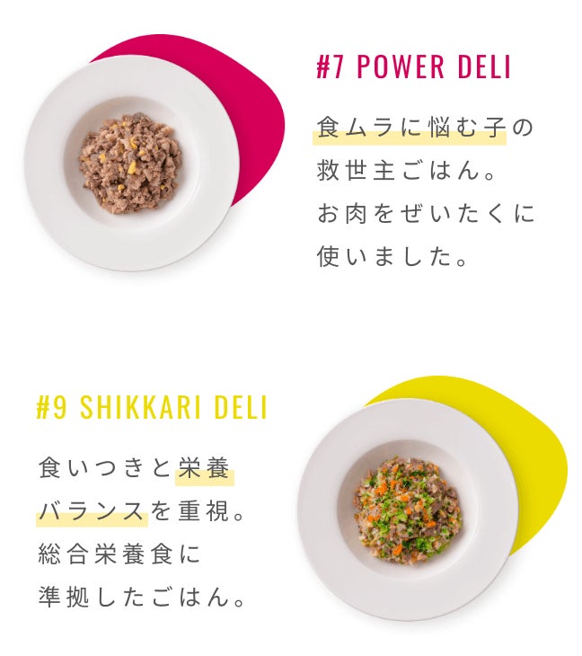 【1/11より新登場！初回購入４７％OFF】大切な愛犬の毎日の食事を健康に！獣医師監修、業界最多のメニュー数を展開する、わんちゃんの手作りごはん専門店「ワンデリトウキョウ」からお得な新サービスが登場！のサブ画像4