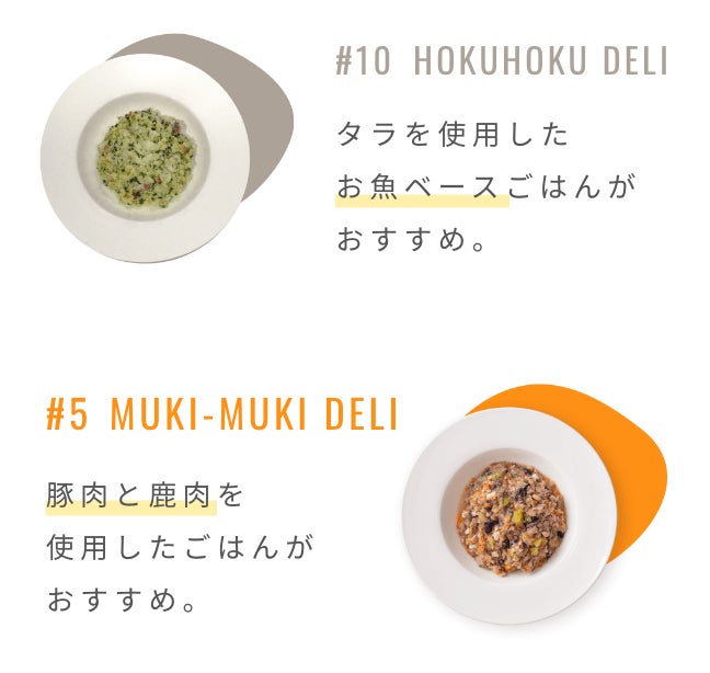 【1/11より新登場！初回購入４７％OFF】大切な愛犬の毎日の食事を健康に！獣医師監修、業界最多のメニュー数を展開する、わんちゃんの手作りごはん専門店「ワンデリトウキョウ」からお得な新サービスが登場！のサブ画像6
