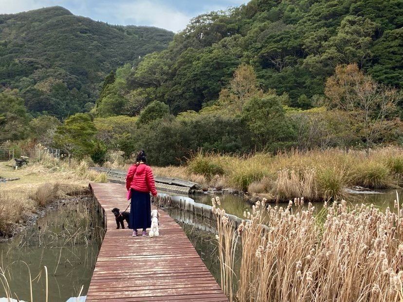 【愛犬と一緒に海辺でワーケーション】瀬会公園キャンプ場が”わん！ケーションプラン”を開始のサブ画像4