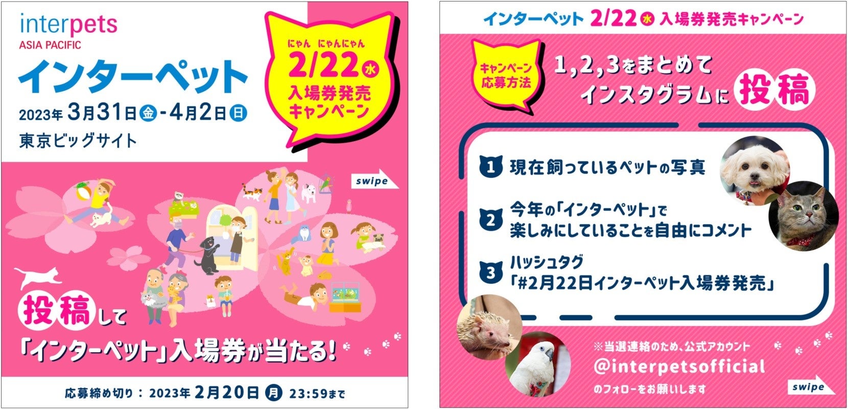 猫の日2/22に入場券発売！キャンペーンものサブ画像1