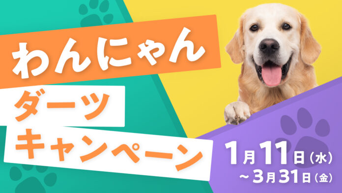 犬の写真が次々と表示されるダーツの期間限定ゲーム「ワンちゃんカウントアップ」、全国のダーツライブに登場のメイン画像