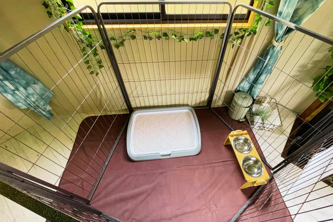 令和5年3月19日は愛犬と遊ぼう！イベント当日しか出会えないアイテムも多数！！【MINI犬市場  in WOOD DESIGN PARK ICHINOMIYA】愛知県一宮市で開催決定のサブ画像4