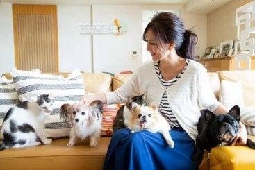 犬・猫の長生きケアを徹底解説！『愛犬・愛猫が10歳すぎたら読む本』1/14発売のサブ画像6