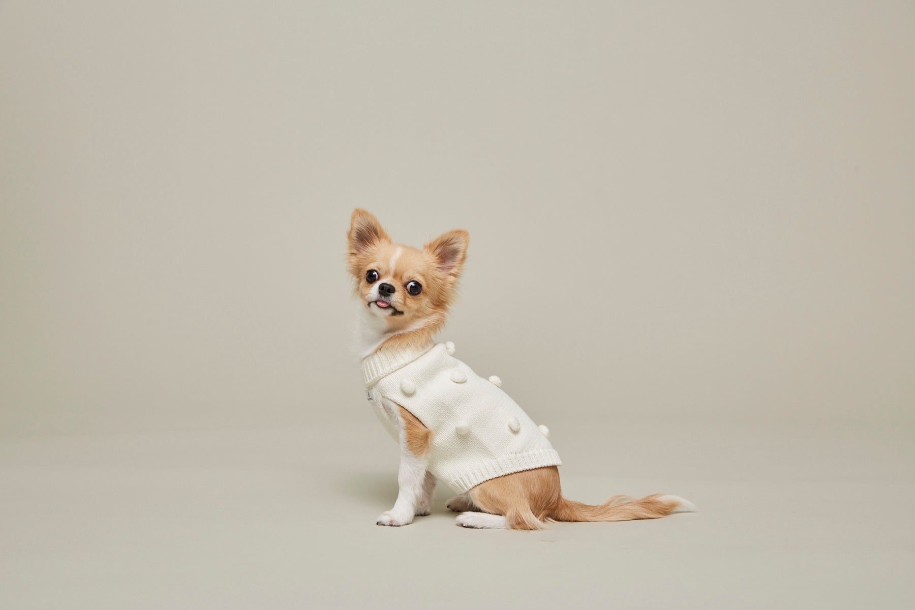 CITYDOG初のニットウェアが誕生立体的で上品なデザインが目を惹く数量限定アイテム「POPCORN KNIT」のサブ画像1