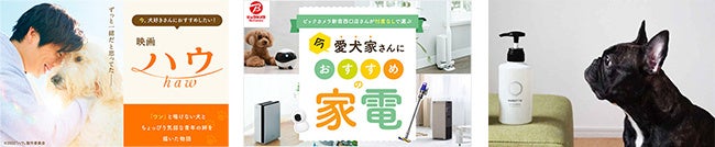 “ワンコとの新しい未来”につながるwaをつくる。ワンコの一生に寄り添うブランド「ワンコnowa」がBtoB向けマーケティングサービスをスタート！ブランドサイトもOPEN。のサブ画像5