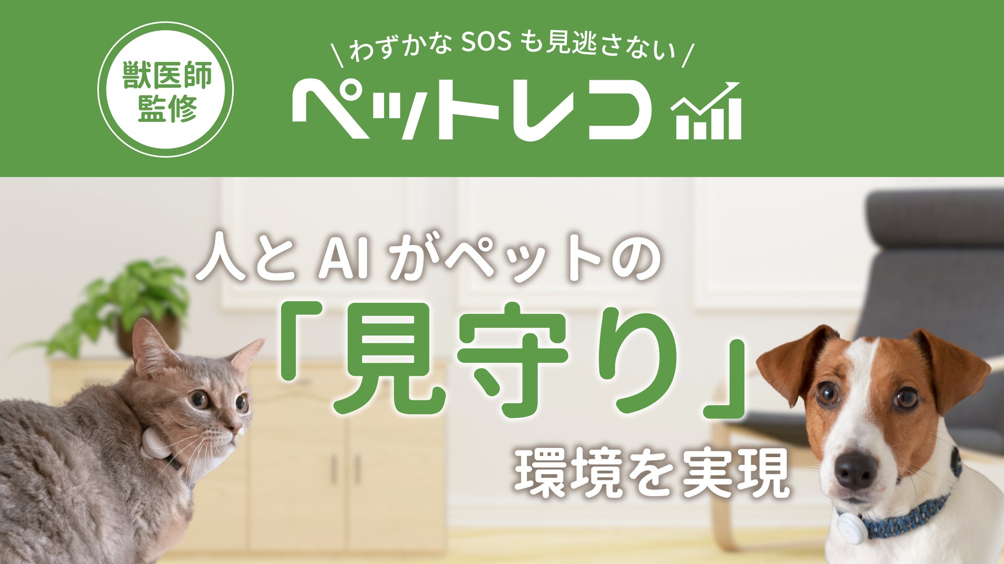デヴィ猫ちゃんがセワクルを紹介！？ペット好きで有名なデヴィ夫人がセワクルのイメージキャラクターに！のサブ画像3