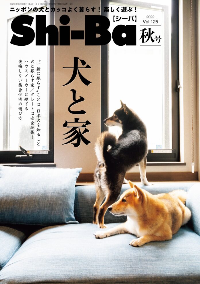 大好評につき早くも第二回開催決定！ プロカメラマンが撮った写真データが必ずもらえる柴犬限定撮影会のメイン画像