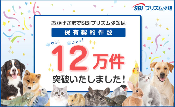 SBIプリズム少短、ペット保険保有契約件数が12万件を突破！のメイン画像