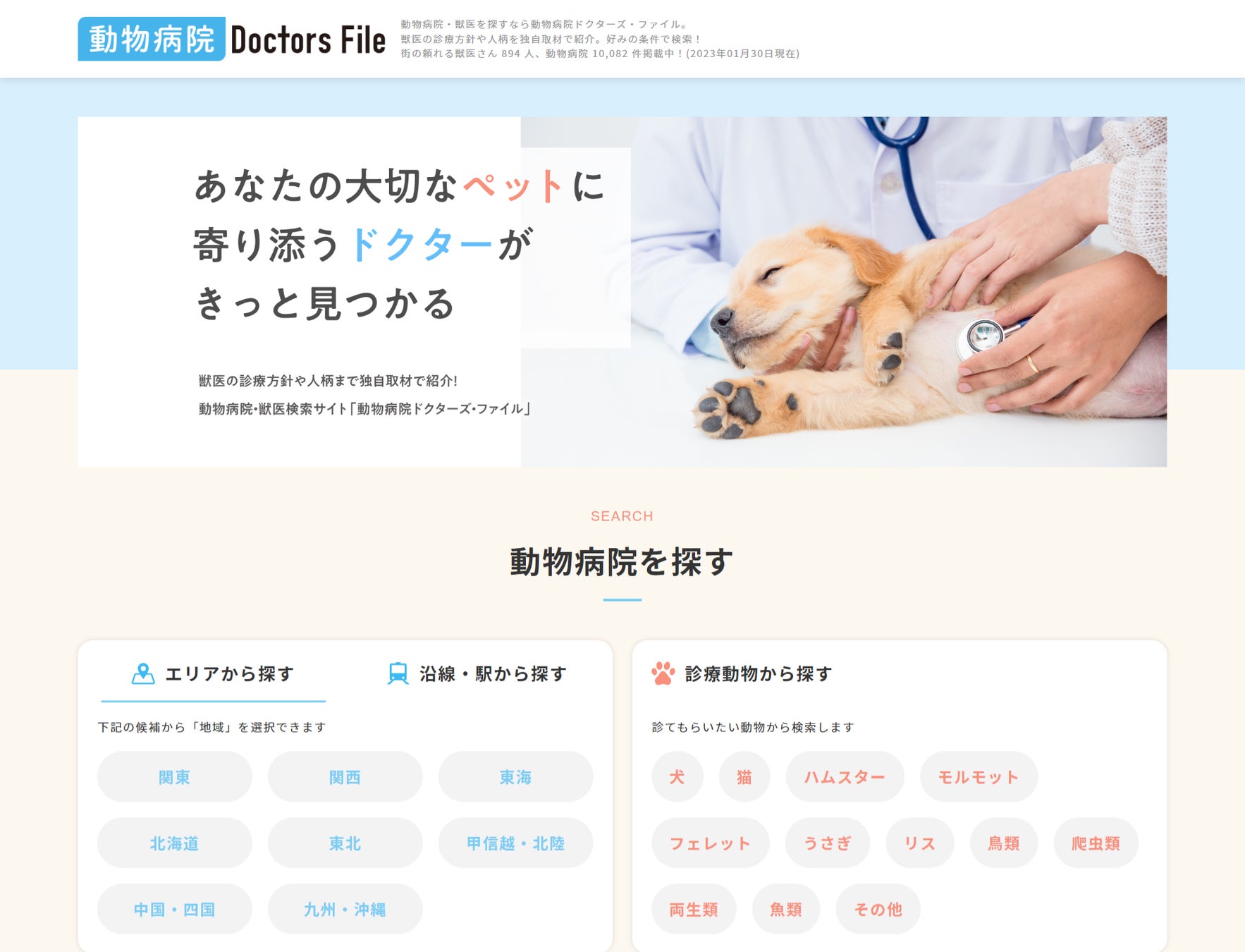 飼い主と動物病院をつなぐ、動物病院検索サイト「動物病院ドクターズ・ファイル」を大幅リニューアル。ユーザーのニーズに応える情報発信を開始のサブ画像1