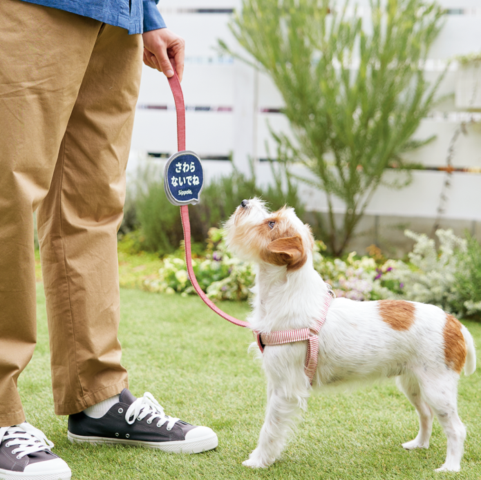 怖がりの愛犬も安心。「さわらないでね！」を伝えられる、便利なメッセージアップリケ。のメイン画像