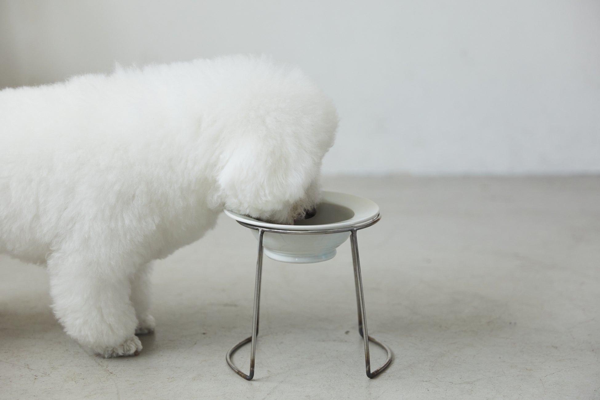 愛犬の栄養とおいしさにこだわったフリーズドライ製法｜ごはんにかけるスープ【WanSoup】がセレクトショップ「memeco」で販売スタート！のサブ画像7