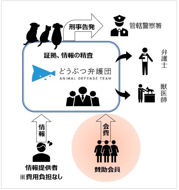 NPO法人 どうぶつ弁護団  「動物虐待をなくすため」　賛助会員を募集します！のサブ画像3