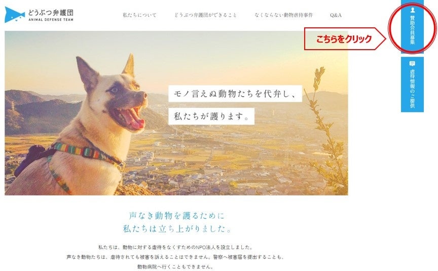 NPO法人 どうぶつ弁護団  「動物虐待をなくすため」　賛助会員を募集します！のサブ画像4