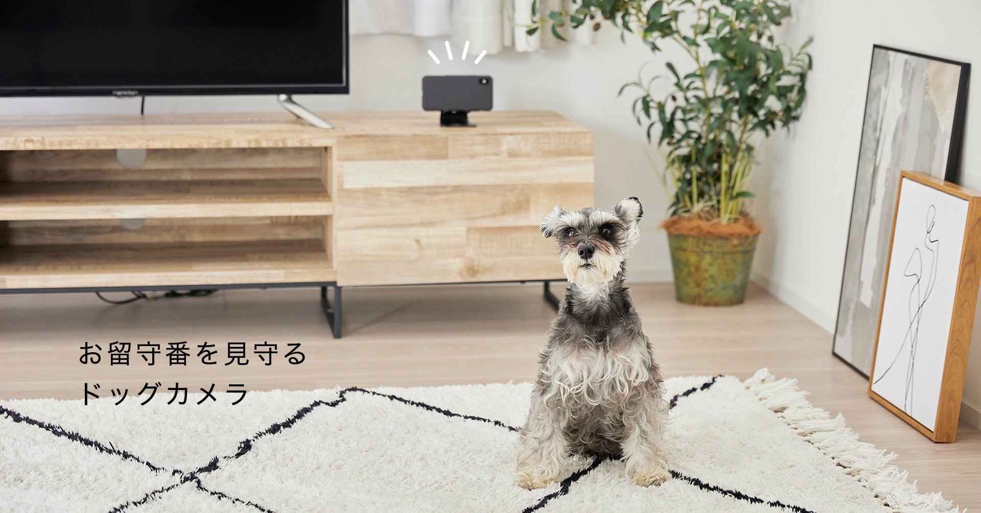 犬専用の音楽アプリ『オトとりっぷ』、2月27日より有料化スタートのサブ画像2