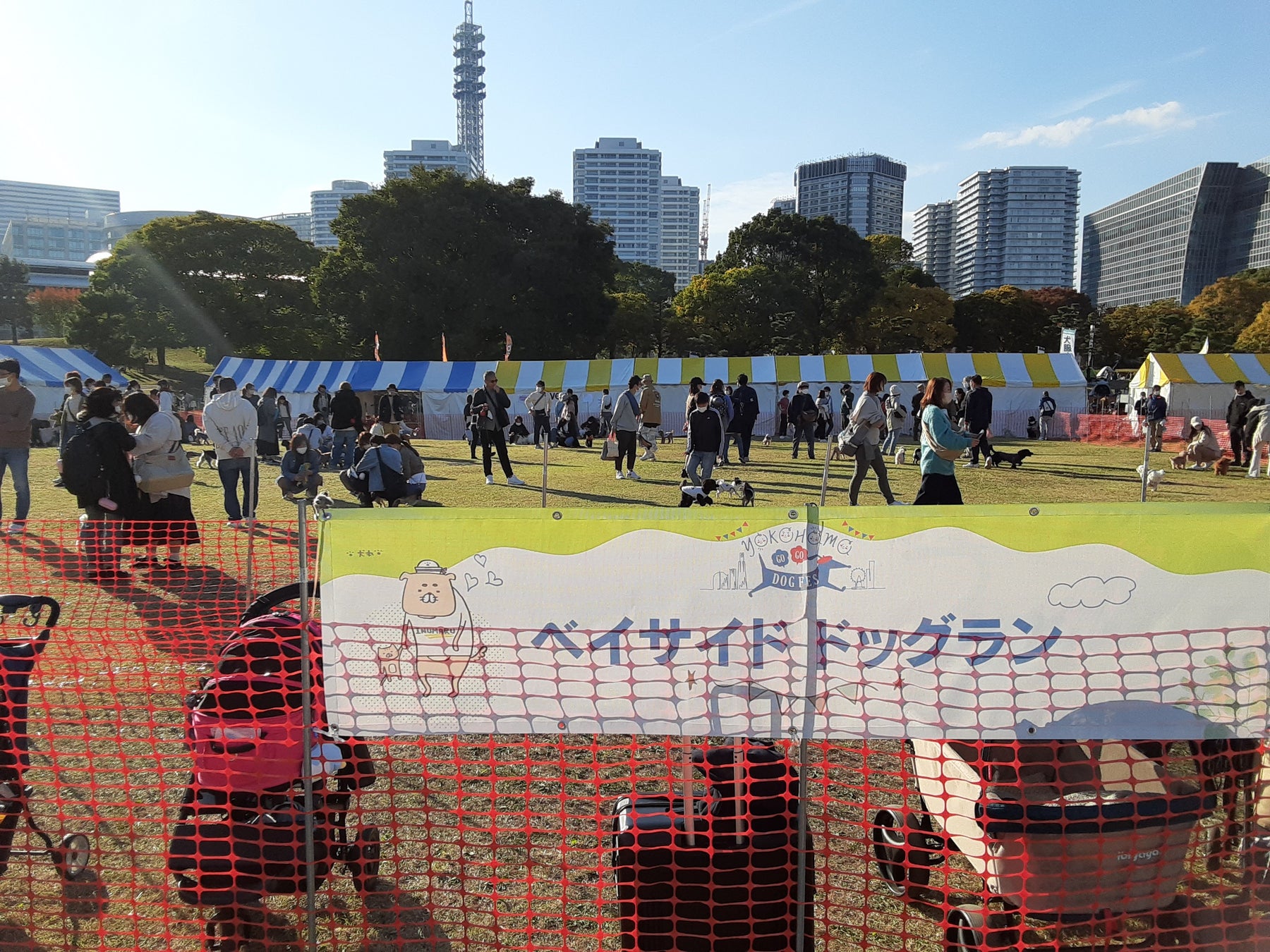 『YOKOHAMA GOGO DOG FES2023春』のサブ画像2_ベイサイドドッグラン