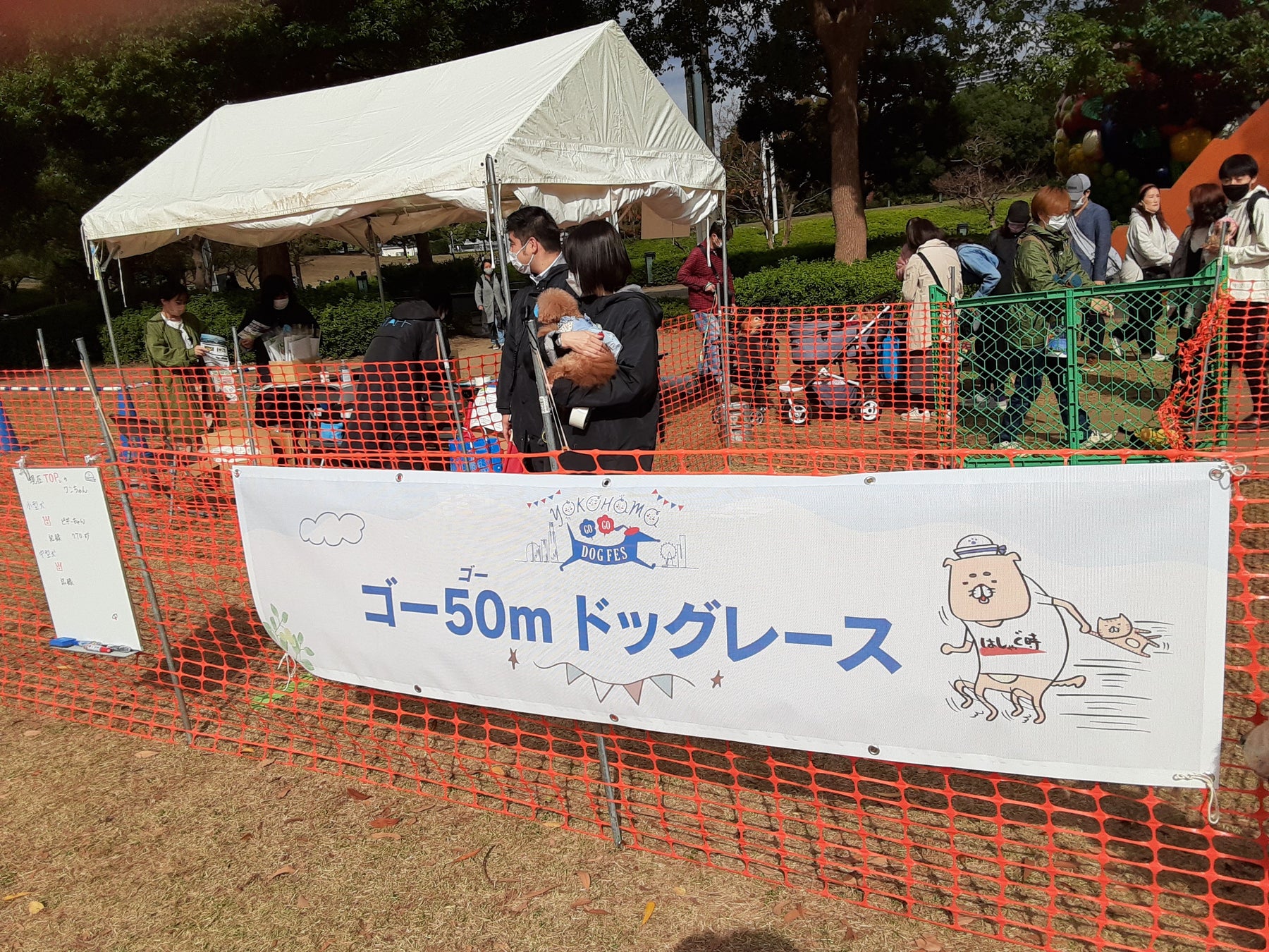 『YOKOHAMA GOGO DOG FES2023春』のサブ画像3_ゴーGOドッグレース