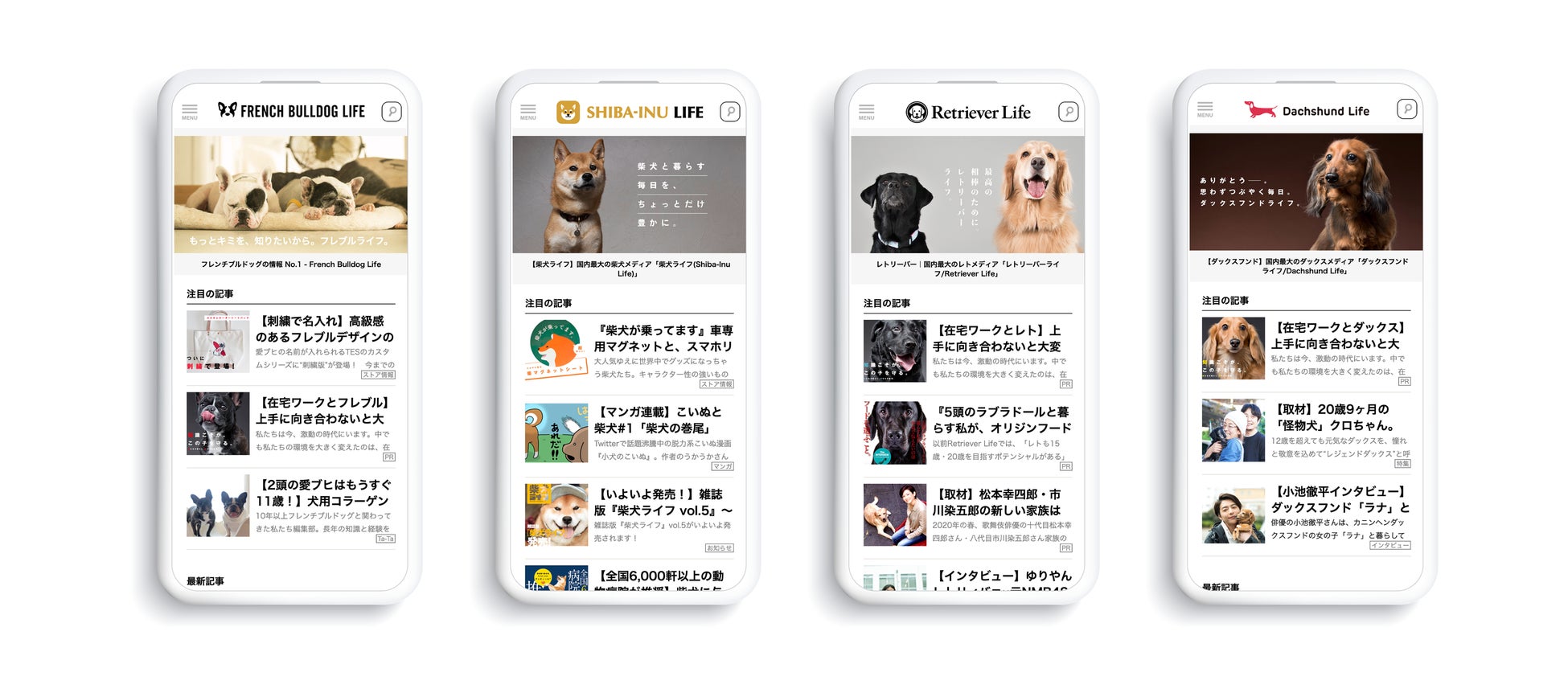 犬種特化型ペット専門メディア「dot LIFE」がブランドサイトをリニューアル！月間1,500万PVを突破のサブ画像2