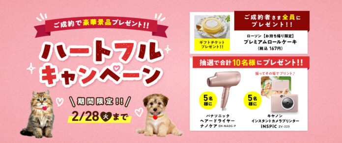 アイペット「ハートフルキャンペーン」開始！のメイン画像