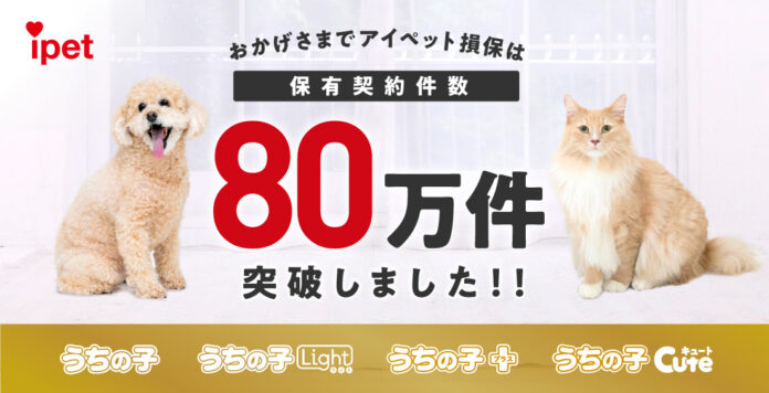 保有契約件数が80万件を突破！のメイン画像