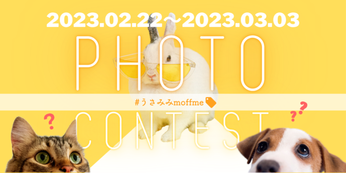 2023年3月3日は12年に1度の「うさぎの日」！わんちゃんねこちゃんうさ耳フォトコンテストを開催のメイン画像