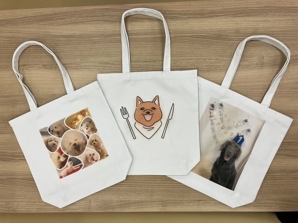 リコーアクセラレーター「TRIBUS」の採択スタートアップspread with、愛犬と飼い主のためのお出かけ情報アプリ『ぐるわん』で360度パノラマ画像の投稿機能を新たに搭載！のサブ画像3