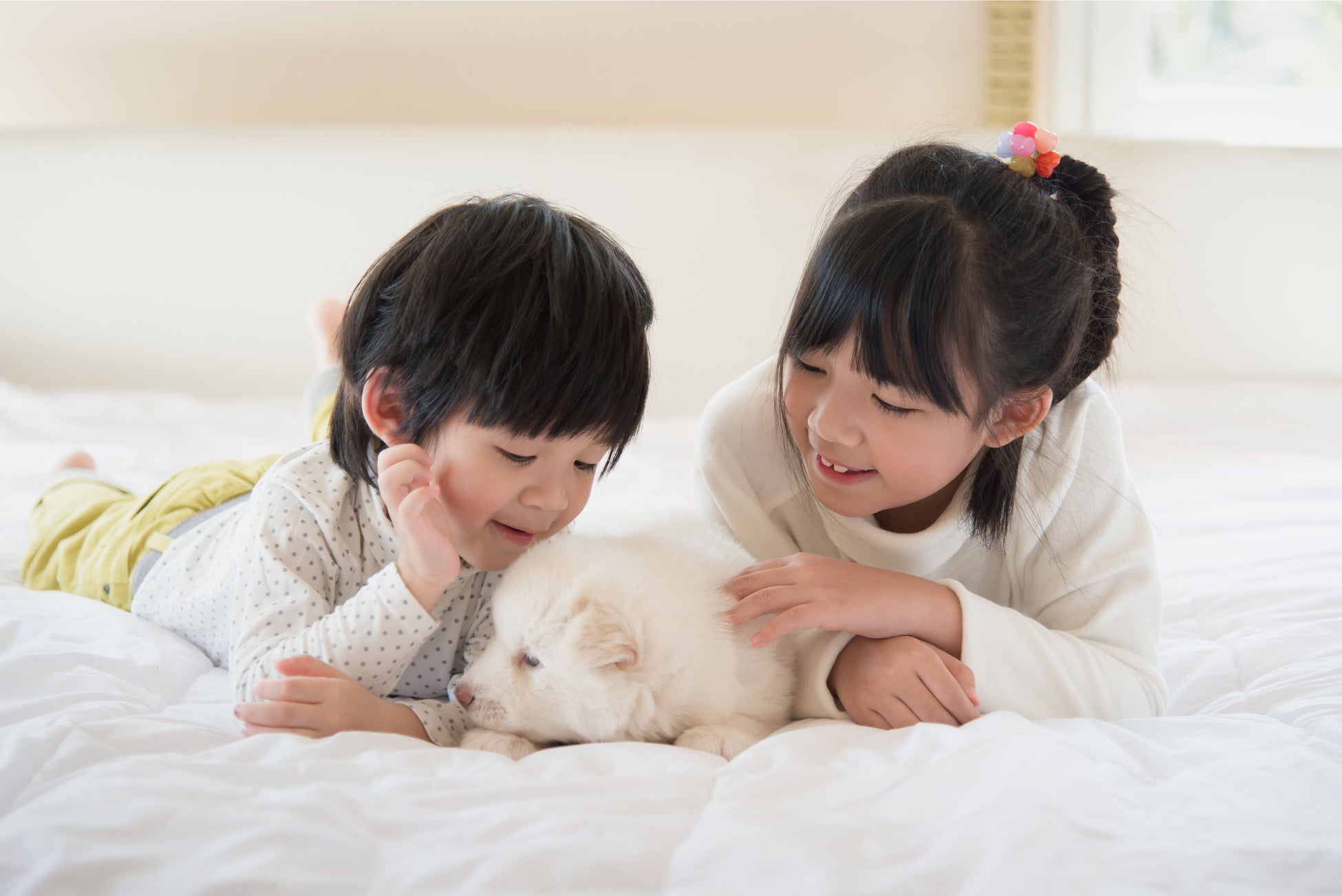 サービス開始からの累計成約数が25万件に。ペットと新しい家族を結び、数々の出会いを実現する『みんなのブリーダー』『みんなの子猫ブリーダー』のサブ画像3