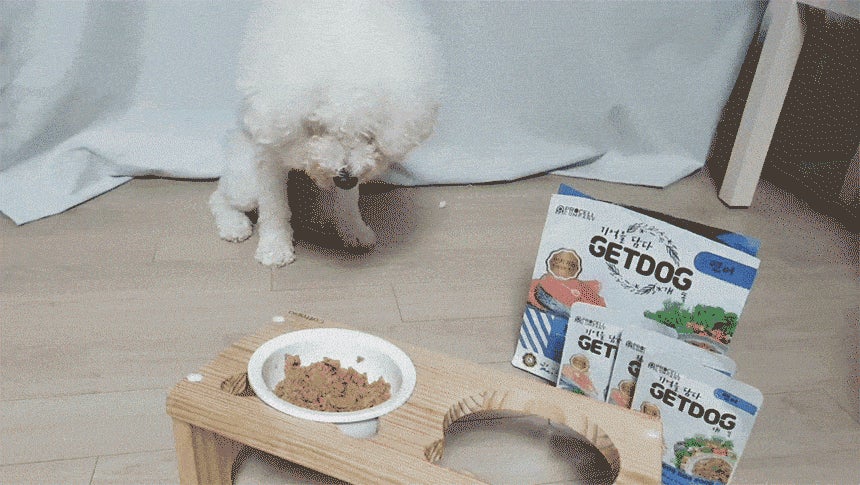 愛するワンちゃんといつまでも健康で幸せな時間を過ごせるように作られたウエットドッグフード「GETDOG（ゲトック）」を1月30日より「Makuake」にて応援購入受付中のサブ画像6_getdogウエットドッグフード