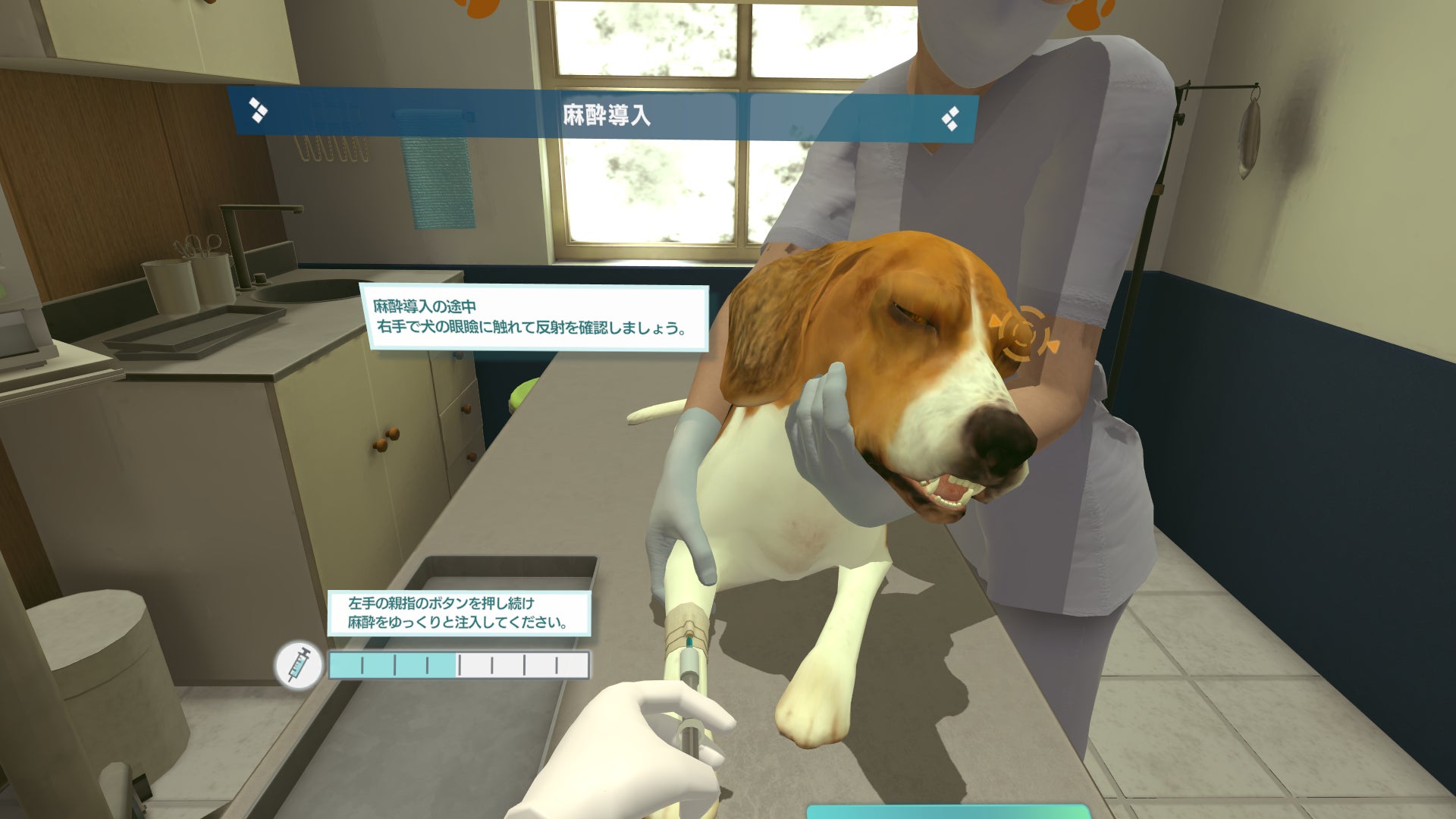 麻布大学・あまた・EDUWARD Pressが獣医療VR教材「VETS VR」を共同開発のサブ画像2_犬の気管挿管_麻酔導入中