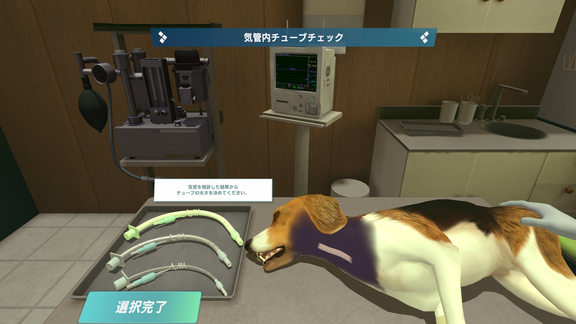 麻布大学・あまた・EDUWARD Pressが獣医療VR教材「VETS VR」を共同開発のサブ画像3_犬の気管挿管_気管確認