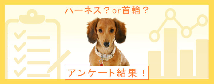 犬に使っているのは首輪？それともハーネス？首に負担がかからないのはどっち？：『ペット保険比較のピクシー』のメイン画像