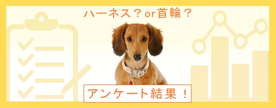 犬に使っているのは首輪？それともハーネス？首に負担がかからないのはどっち？：『ペット保険比較のピクシー』のサブ画像1