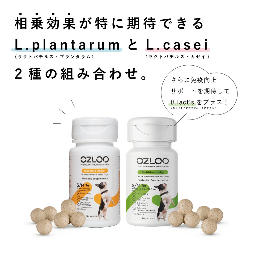 【日本独占販売商品】腸活サプリ「OZLOO」より新商品が販売開始。のサブ画像5