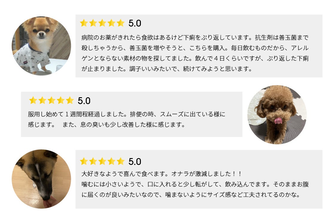 【日本独占販売商品】腸活サプリ「OZLOO」より新商品が販売開始。のサブ画像6