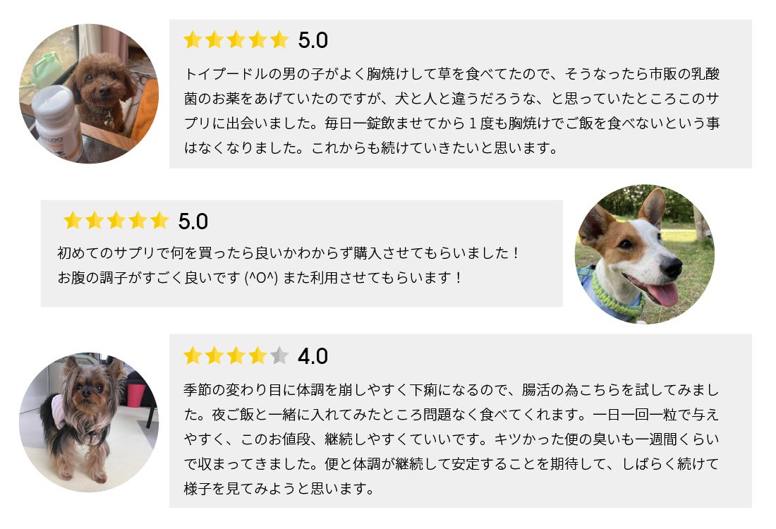 【日本独占販売商品】腸活サプリ「OZLOO」より新商品が販売開始。のサブ画像7