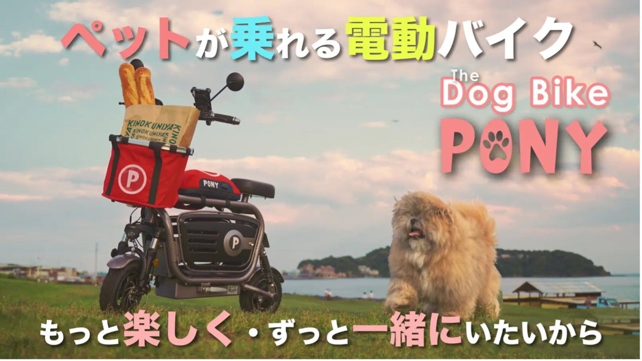 いつでもどこでも、ずっと一緒にいたいから「ペットと乗れる電動バイク」『PONY』柏の葉T-SITEにて開催される、「第16回 ワンOneday at 柏の葉T-SITE」に出店！のサブ画像3