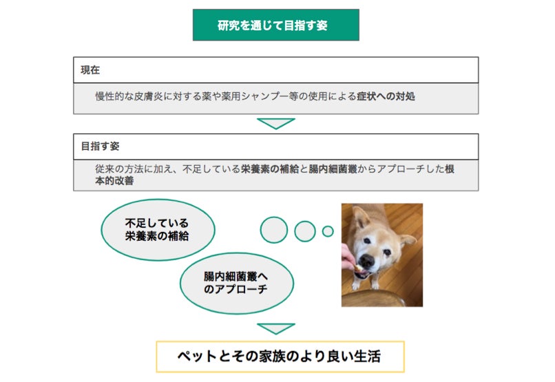 Total Animal Medi × 宮崎大学「イヌの皮膚用サプリメント」に関する共同研究を実施のサブ画像1