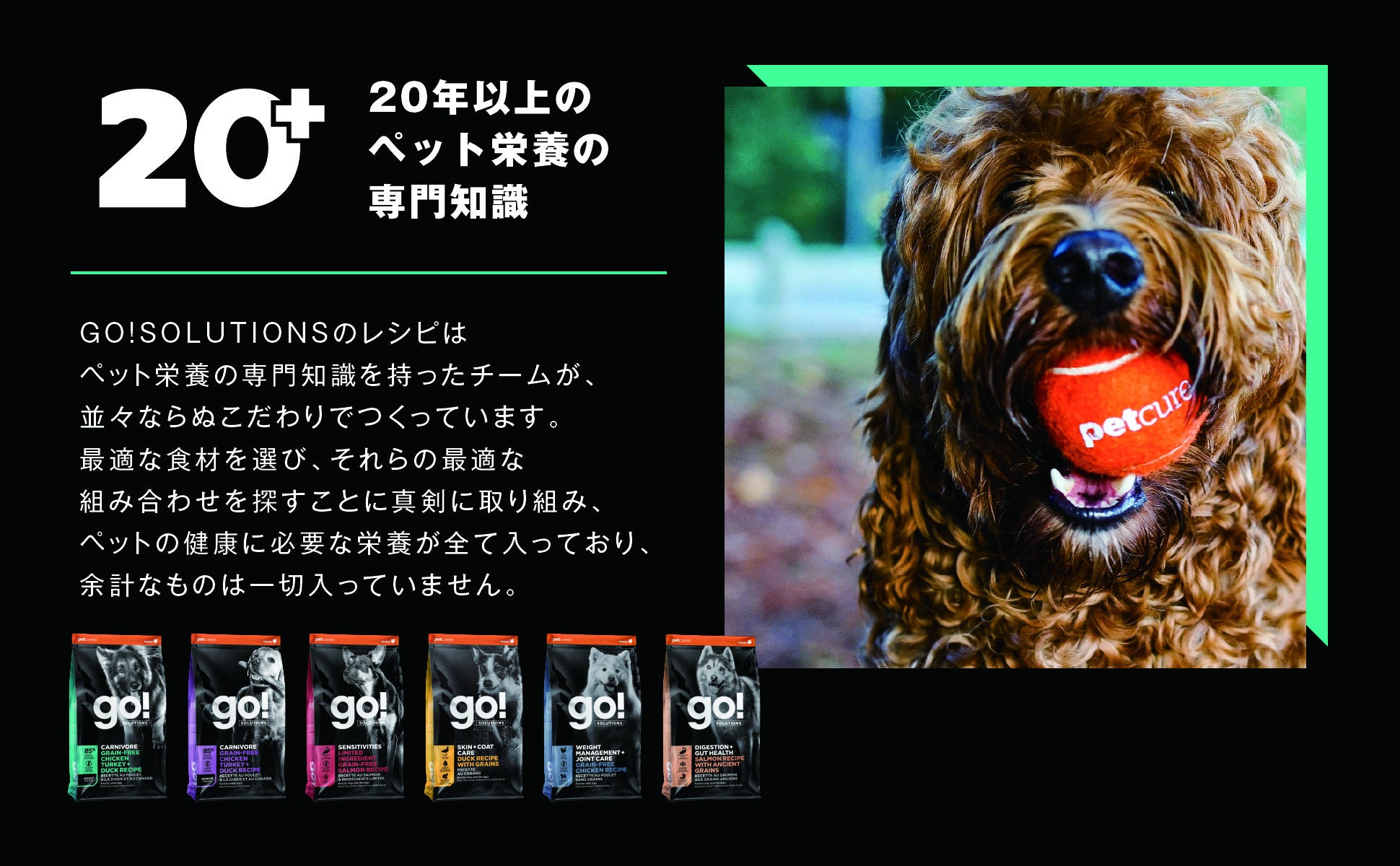 リニューアルする『GO!SOLUTIONS™』を初めてお披露目のサブ画像1