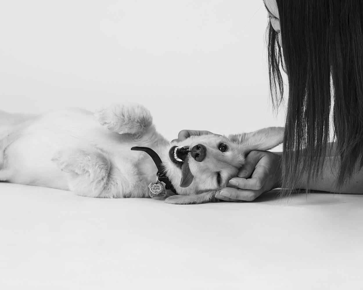 愛犬ポートレート撮影会「WATANABEHIKARU_DOGPHOTO SESSION」湘南T-SITE「第37回ワン！One day」に3/26 （日）初出展のサブ画像4