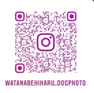 愛犬ポートレート撮影会「WATANABEHIKARU_DOGPHOTO SESSION」湘南T-SITE「第37回ワン！One day」に3/26 （日）初出展のサブ画像7
