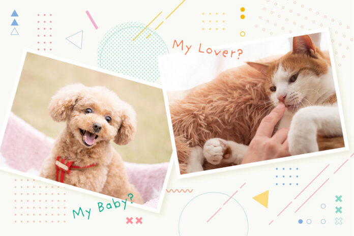 犬は「わが子」、猫は「恋こがれる人」のような存在！？フードの買い方で、人とペットの真の関係性を探るのメイン画像