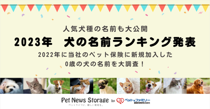 ペットニュースストレージ「2023年 犬の名前ランキング」を発表。2022年にペット保険に新規加入した0歳の犬の名前を大調査！のメイン画像