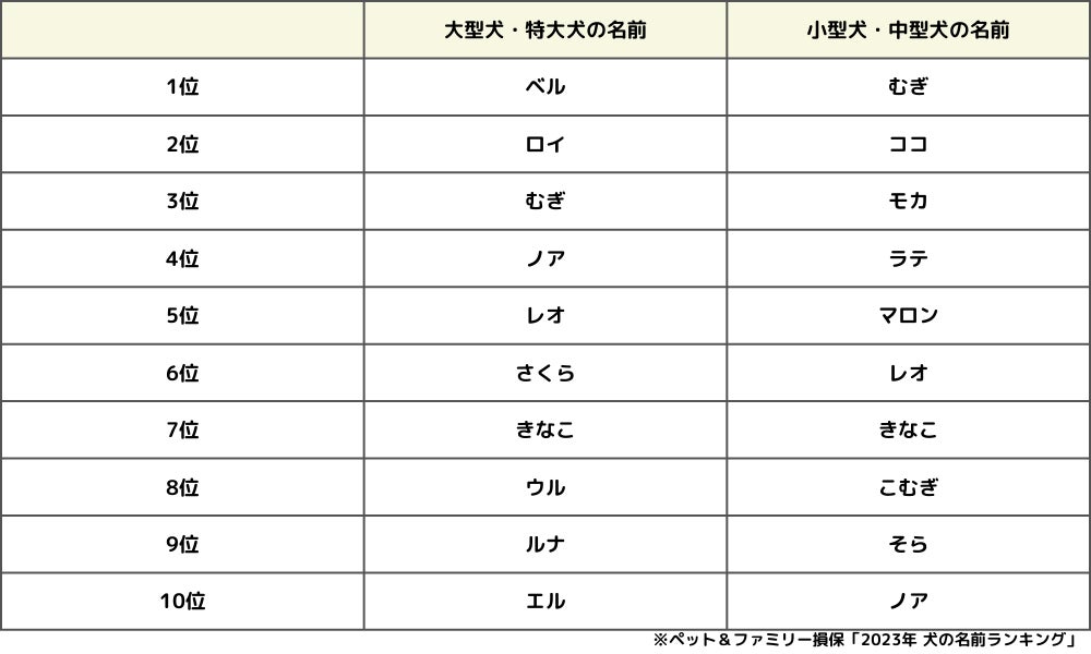 ペットニュースストレージ「2023年 犬の名前ランキング」を発表。2022年にペット保険に新規加入した0歳の犬の名前を大調査！のサブ画像2